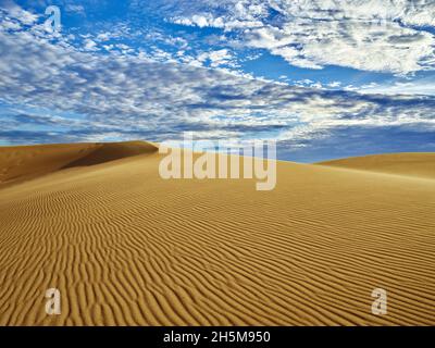 Blick von rechts auf die höchste Düne Nordamerikas im Great Sand Dunes National Park and Preserve, im San Luis Valley in der Nähe von Alamosa, Color Stockfoto