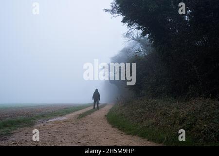 Eine geheimnisvolle Kapuzenfigur, zurück zur Kamera. Stehen auf einer Waldspur, an einem gespenstischen, nebligen Herbsttag. Stockfoto