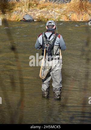 Ein Fliegenfischer bereitet sich darauf vor, seine Linie im Rio Grande in der Nähe von Taos, New Mexico, zu werfen. Stockfoto