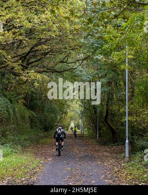 Radfahrer fahren durch einen Tunnel mit Bäumen in Herbstfarben in der Nähe von Staple Hill auf dem Bristol and Bath Railway Path, einem Teil des britischen National Cycle Stockfoto