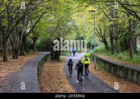 Radfahrer fahren am Bahnhof Mangotsfield auf dem Bristol and Bath Railway Path, einem Teil der britischen Nati, vorbei an herbstlichen Blättern und Bäumen Stockfoto