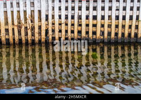 Hafenreflexionen in Jim's Cove, Triton, Neufundland und Labrador NL, Kanada Stockfoto