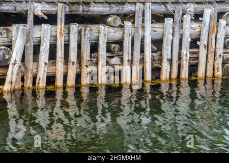 Harbor-Piling-Reflections, Cottlesville, Neufundland und Labrador NL, Kanada Stockfoto