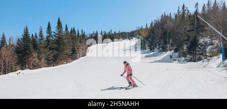 Alpinski. Skifahren Frau Skifahrer geht Mitgift gegen schneebedeckte Bäume Hintergrund im Winter Frau in roten Skijacke. Mont Tremblant, Quebec, Kanada. Stockfoto