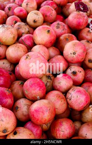 Satz frisch gepflückter, reifer Granatäpfel zum Verzehr, bestellt auf dem Granatfruchtmarkt Stockfoto