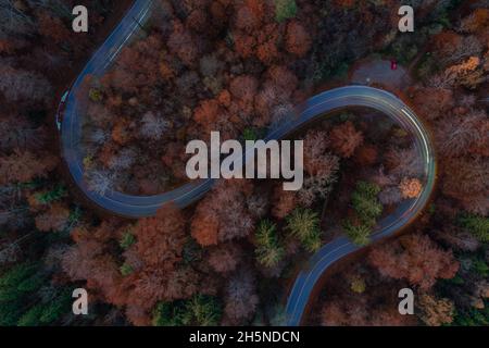 Lighttrails auf einer kurvigen Straße, aufgenommen von oben, stimmungsvolle Hintergrundbilder von Reisen in der Herbstsaison. Stockfoto