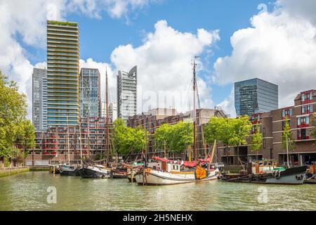 Segelboote vertäuten in der Marina mit Wolkenkratzern in der Innenstadt im Hintergrund, Rotterdam. Niederlande Stockfoto