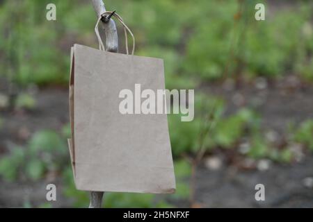 Papiertüte inmitten von Bäumen in der Natur. Stockfoto