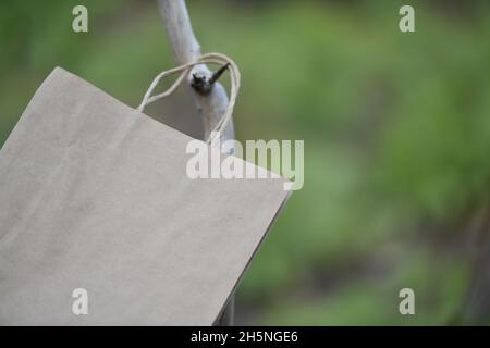 Papiertüte inmitten von Bäumen in der Natur. Stockfoto