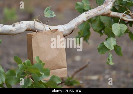 Papiertüte inmitten von Bäumen in der Natur. Stockfoto