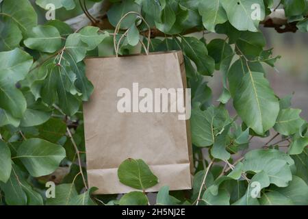 Papiertüte inmitten von Bäumen in der Natur. Stockfoto