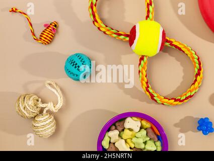 Verschiedene bunte Tierpflegezubehör: Schale, Knochen, Kugeln, Snacks, Maus auf beigem Hintergrund. Gummi- und Textilzubehör für Hunde und Katzen. Stockfoto