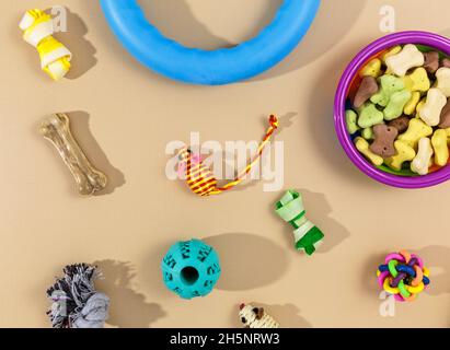 Verschiedene bunte Tierpflegezubehör: Schale, Knochen, Kugeln, Snacks, Maus auf beigem Hintergrund. Gummi- und Textilzubehör für Hunde und Katzen. Stockfoto