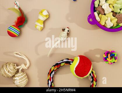Verschiedene bunte Tierpflegezubehör: Schale, Knochen, Kugeln, Snacks, Maus auf beigem Hintergrund. Gummi- und Textilzubehör für Hunde und Katzen. Stockfoto