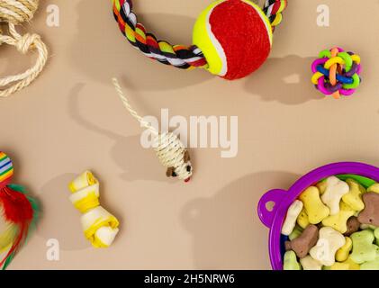Verschiedene bunte Tierpflegezubehör: Schale, Knochen, Kugeln, Snacks, Maus auf beigem Hintergrund. Gummi- und Textilzubehör für Hunde und Katzen. Stockfoto