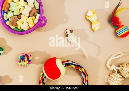 Verschiedene bunte Tierpflegezubehör: Schale, Knochen, Kugeln, Snacks, Maus auf beigem Hintergrund. Gummi- und Textilzubehör für Hunde und Katzen. Stockfoto