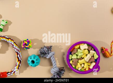 Verschiedene bunte Tierpflegezubehör: Schale, Knochen, Kugeln, Snacks, Maus auf beigem Hintergrund. Gummi- und Textilzubehör für Hunde und Katzen. Stockfoto