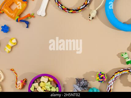 Verschiedene bunte Tierpflegezubehör: Schale, Knochen, Kugeln, Snacks, Maus auf beigem Hintergrund. Gummi- und Textilzubehör für Hunde und Katzen. Stockfoto