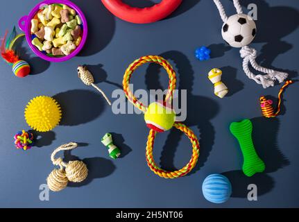 Verschiedene bunte Tierpflegezubehör: Schale, Knochen, Kugeln, Snacks, Maus auf blauem Hintergrund. Gummi- und Textilzubehör für Hunde und Katzen. Stockfoto