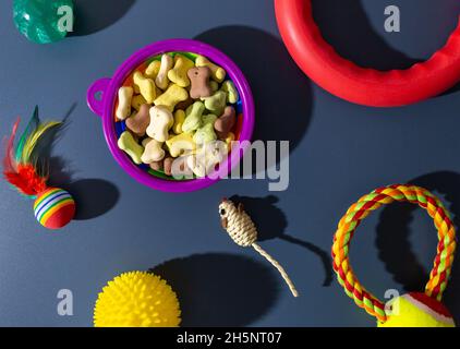 Verschiedene bunte Tierpflegezubehör: Schale, Knochen, Kugeln, Snacks, Maus auf blauem Hintergrund. Gummi- und Textilzubehör für Hunde und Katzen. Stockfoto