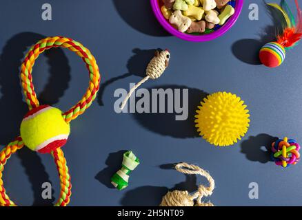 Verschiedene bunte Tierpflegezubehör: Schale, Knochen, Kugeln, Snacks, Maus auf blauem Hintergrund. Gummi- und Textilzubehör für Hunde und Katzen. Stockfoto