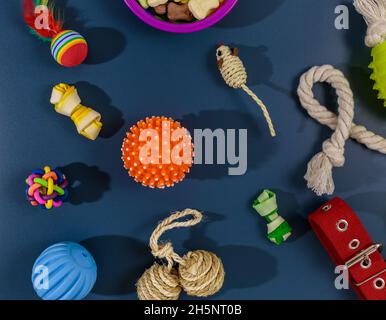 Verschiedene bunte Tierpflegezubehör: Schale, Knochen, Kugeln, Snacks, Maus auf blauem Hintergrund. Gummi- und Textilzubehör für Hunde und Katzen. Stockfoto