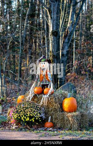 Halloween-Feiertagsanzeige bestehend aus Müttern, Kürbissen, Heuballen und Scheukrähen in Wisconsin, vertikal Stockfoto