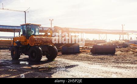 Der Lader trägt Holzstämme vor dem Hintergrund des Sägewerks. Stockfoto