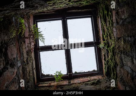 Licht kommt durch ein Fenster im Kerker des Peterhof-Schlosses. Sankt Petersburg, Russland. Stockfoto