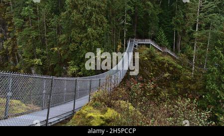 Blick auf die Hängebrücke über einen Canyon im Elk Falls Provincial Park in der Nähe des Campballe River auf Vancouver Island, British Columbia, Kanada im Herbst. Stockfoto