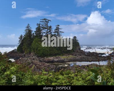 Raues Meer mit starker Brandung und Wellen, die auf Felsen brechen, an der Pazifikküste nahe Ucluelet auf Vancouver Island, British Columbia, mit grüner Vegetation. Stockfoto