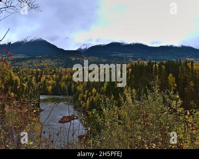 Landschaft mit Bulkley River im Tal, umgeben von bunten Bäumen im Herbst mit schneebedeckten Bergen im Hintergrund nördlich von Smithers, Kanada. Stockfoto