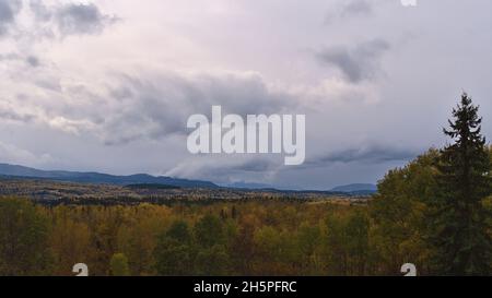 Farbenfrohe Herbstlandschaft mit einem Wald aus gelben Bäumen im Tal nahe dem Yellowhead Highway (16) südlich von Smithers, British Columbia, Kanada, an bewölkten Tagen. Stockfoto