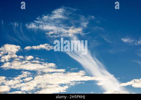 Cirrus- und Cumulus-Wolken am blauen Himmel in Alberta, Kanada Stockfoto