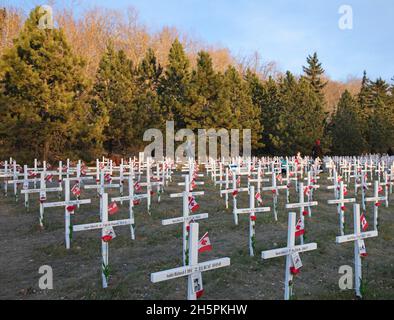 Gedenkstätte für gefallene Soldaten am Kreuzfeldtag Stockfoto