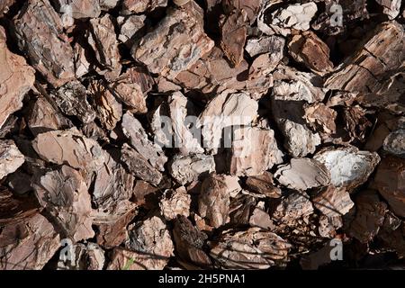 Die Textur von zerdrückter Baumrinde auf einem Nahaufnahme-Hintergrund. Zerkleinerte braune Baumrinde zur Dekoration.Mulchen des Bodens. Dekorative Gartenarbeit qualitativ hochwertiges Foto Stockfoto