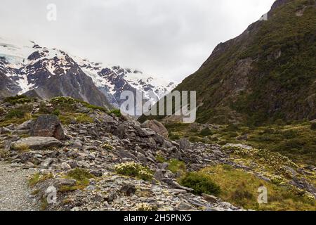 Geröll in den Südlichen Alpen. Wandern Sie zwischen Hooker Lakes und Mller Lake. Neuseeland Stockfoto