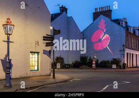 Ein großer Mohn, der zum Gedenktag 2021 an der Seite eines Hauses in North Berwick, East Lothian, ausgestellt wurde. Stockfoto