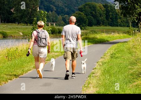 Seniorenpaar, das mit Hunden an der Elbe entlang geht Stockfoto