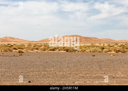Sanddünen in der Wüste. Erg Chebbi Sahara. Marokko Stockfoto