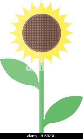 Blume Sonnenblume in flachem Stil auf weißem Hintergrund Stock Vektor