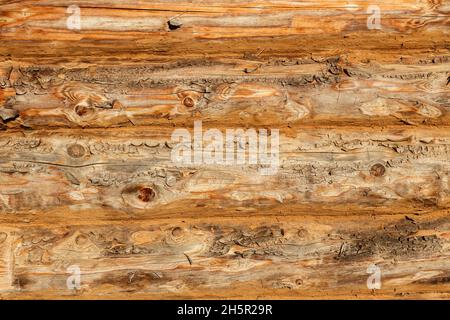 Alte Holzwand aus Baumstämmen, Hintergrundstruktur Stockfoto
