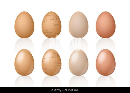 Ei Set realistische Stil Vektor-Illustration, Eier Sammlung Realismus Nachbildung isoliert auf weißem Hintergrund Stock Vektor
