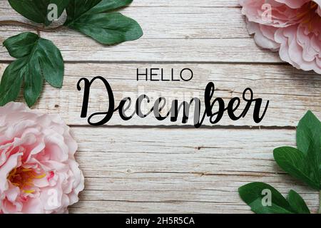 Hallo Dezember Typografie Text mit Pfingstrosen Blumen auf Holz Hintergrund Stockfoto