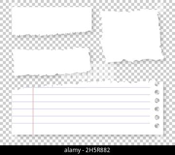 Papier Stücke isoliert weiß gerissen blank Notizblock Fragmente gesetzt, Schrott Blatt Sammlung transparente Hintergrund Illustration Stock Vektor
