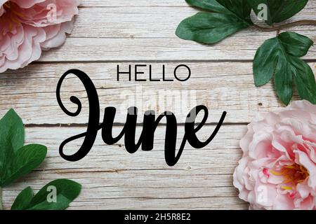 Hallo Juni Typografie Text mit Pfingstrosen Blumen Dekoration auf Holz Hintergrund Stockfoto