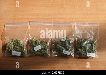 Getrocknete Cannabisknospen in Plastiktüten auf einem Holztisch. Brauner Hintergrund. Sortenreine Marihuanablüten. Draufsicht, flach liegend. Tägliche Hanfroutine. Stockfoto