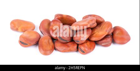 Saubohnen isoliert auf weißem Hintergrund. Trockene Fava-Bohnen Stockfoto