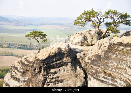 Sandsteinformationen bei Draske Svetnicky Stockfoto