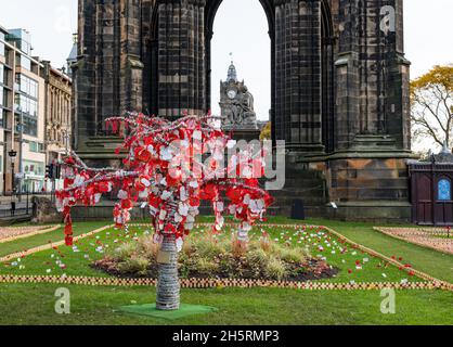 Edinburgh, Schottland, Großbritannien, 11. November 2021. Garden of Remembrance: Der Baum der Erinnerung und der Mohnkreuze vor dem Scott-Denkmal kurz vor dem Gottesdienst um 11:00 Uhr im Princes Street Garden Stockfoto